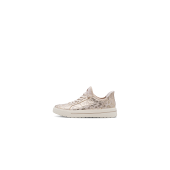 wo_8-23764-45-528_270